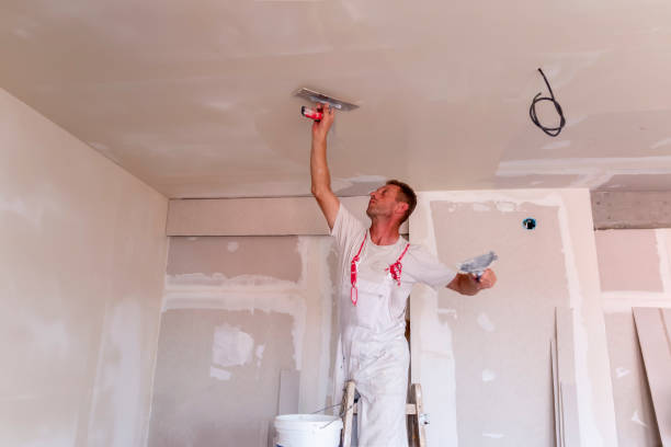 Best Custom Drywall Designs  in Cherry Hills Village, CO